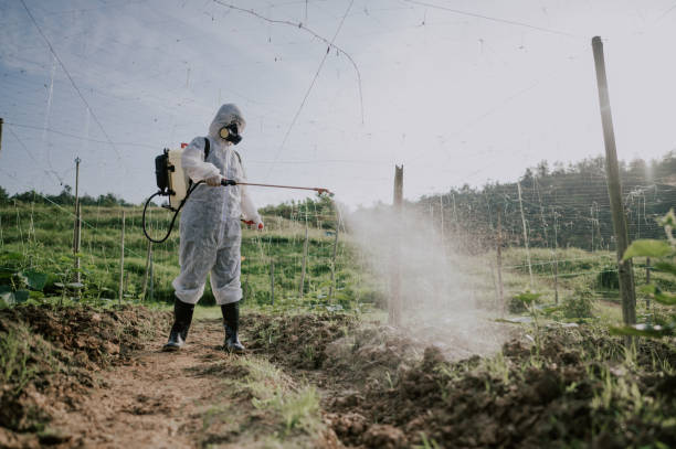 Best Pest Control for Homes  in Mikes, TX