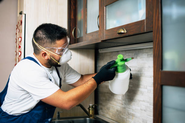 Best Mosquito Control Services  in Mikes, TX