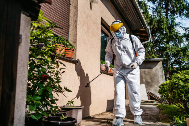 Best Local Pest Control Services  in Mikes, TX