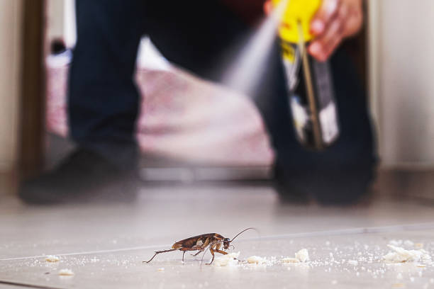 Best Commercial Pest Control Services  in Mikes, TX