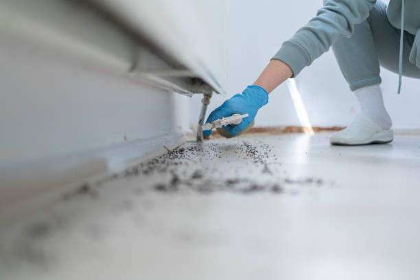 Best Affordable Pest Control Services  in Mikes, TX